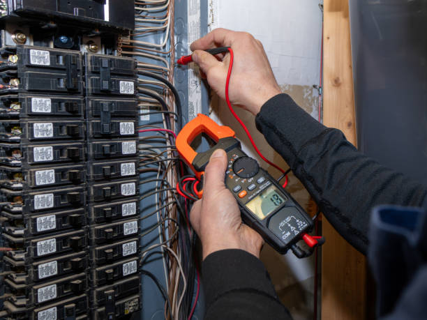 Best Licensed Electrician  in Spring Park, MN